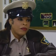 Reno 911